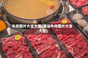 牛肉图片大全大图(潮汕牛肉图片大全大图)