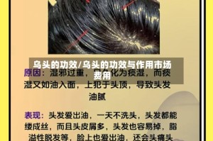 乌头的功效/乌头的功效与作用市场费用