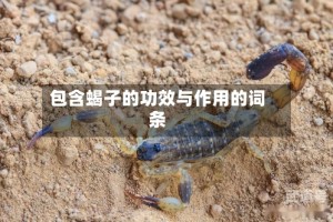 包含蝎子的功效与作用的词条