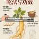 人参药用功效和作用(人参药用功效和作用图片)