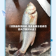 【清蒸鱼做法视频,清蒸鱼做法视频四喜丸子做法大全】
