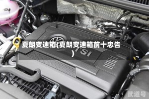 夏朗变速箱(夏朗变速箱前十忠告)