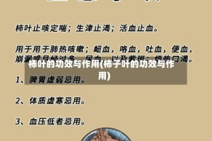 柿叶的功效与作用(柿子叶的功效与作用)