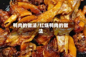 鸭肉的做法/红烧鸭肉的做法