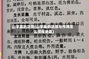 山芋藤的功效(山芋藤的功效与作用怎么预报地震)