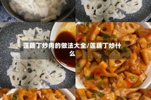 莲藕丁炒肉的做法大全/莲藕丁炒什么