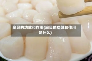 扇贝的功效和作用(扇贝的功效和作用是什么)
