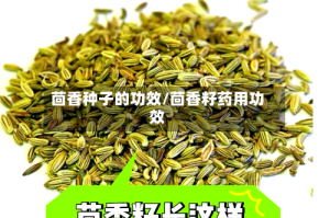茴香种子的功效/茴香籽药用功效