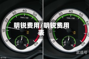 明锐费用/明锐费用表