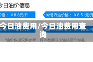 今日油费用/今日油费用查询