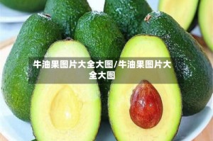 牛油果图片大全大图/牛油果图片大全大图