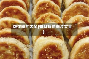 烧饼图片大全(香酥烧饼图片大全)