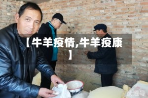 【牛羊疫情,牛羊疫康】