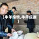 【牛羊疫情,牛羊疫康】