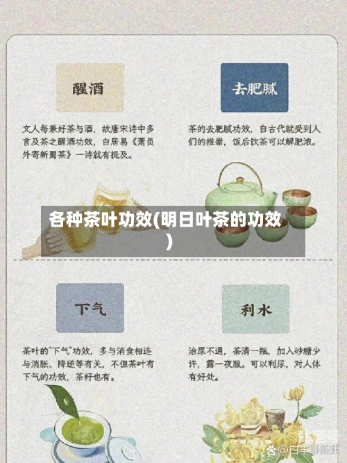 各种茶叶功效(明日叶茶的功效)-第2张图片