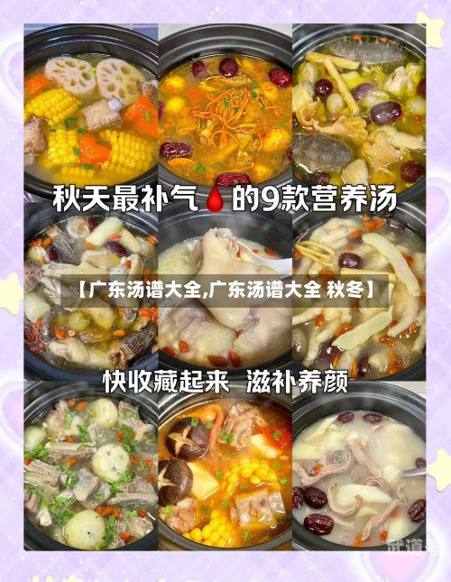 【广东汤谱大全,广东汤谱大全 秋冬】-第2张图片