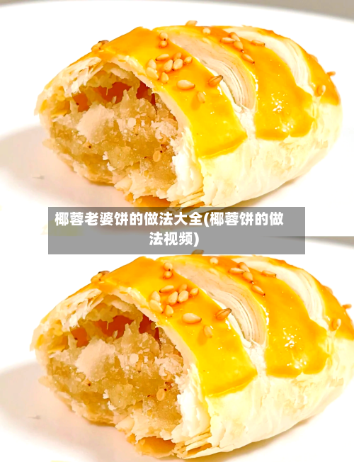 椰蓉老婆饼的做法大全(椰蓉饼的做法视频)-第3张图片