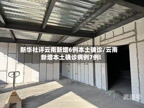 新华社评云南新增6例本土确诊/云南新增本土确诊病例7例l-第2张图片