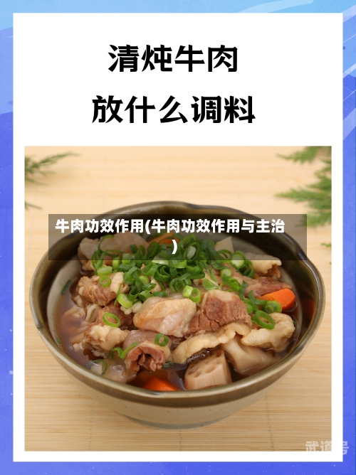牛肉功效作用(牛肉功效作用与主治)-第2张图片