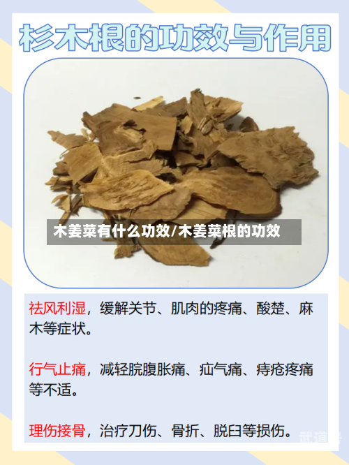 木姜菜有什么功效/木姜菜根的功效-第3张图片