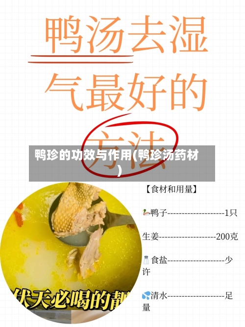 鸭珍的功效与作用(鸭珍汤药材)-第2张图片