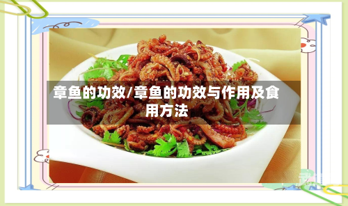 章鱼的功效/章鱼的功效与作用及食用方法-第1张图片