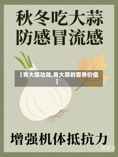 【青大蒜功效,青大蒜的营养价值】-第2张图片