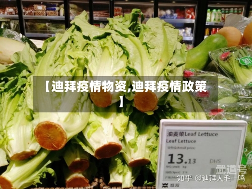 【迪拜疫情物资,迪拜疫情政策】-第3张图片