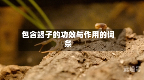 包含蝎子的功效与作用的词条-第3张图片