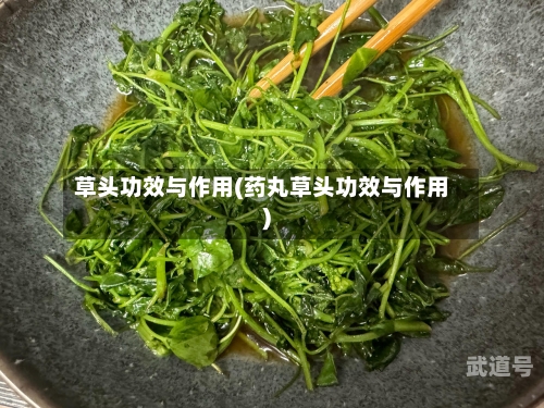 草头功效与作用(药丸草头功效与作用)-第1张图片
