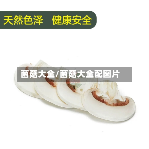 菌菇大全/菌菇大全配图片-第3张图片