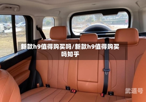 新款h9值得购买吗/新款h9值得购买吗知乎-第3张图片