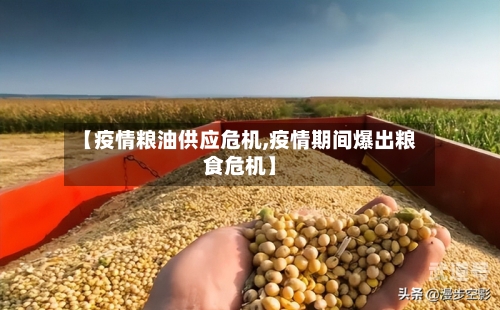 【疫情粮油供应危机,疫情期间爆出粮食危机】-第2张图片