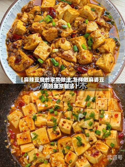 【麻辣豆腐的家常做法,怎样做麻婆豆腐的家常做法】-第3张图片