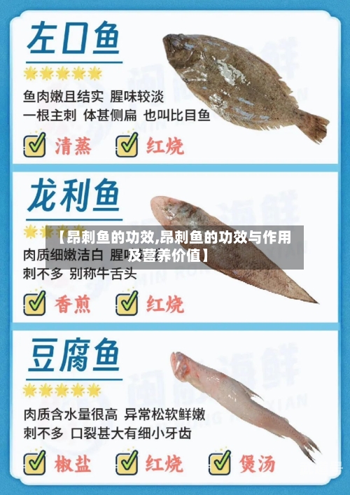 【昂刺鱼的功效,昂刺鱼的功效与作用及营养价值】-第3张图片