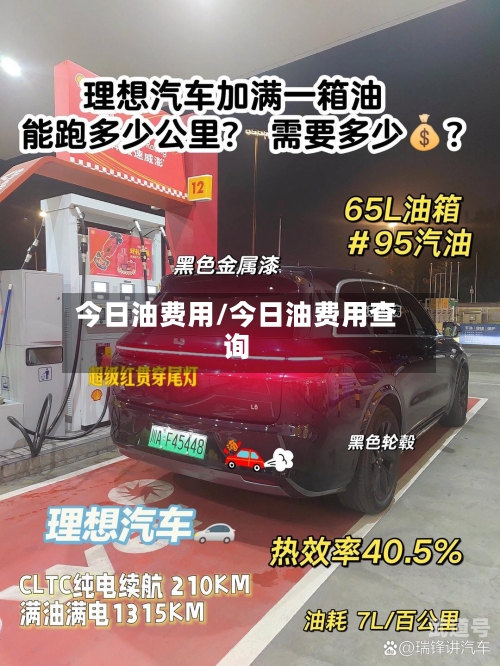 今日油费用/今日油费用查询-第3张图片