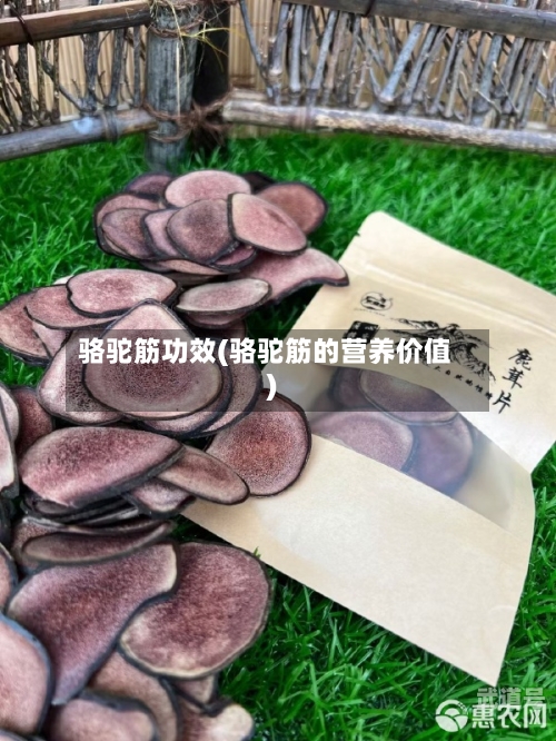 骆驼筋功效(骆驼筋的营养价值)-第3张图片