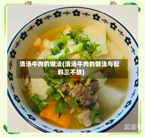 清汤牛肉的做法(清汤牛肉的做法与配料三不故)-第2张图片