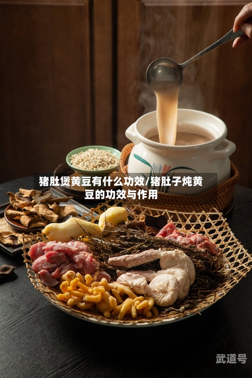 猪肚煲黄豆有什么功效/猪肚子炖黄豆的功效与作用-第1张图片