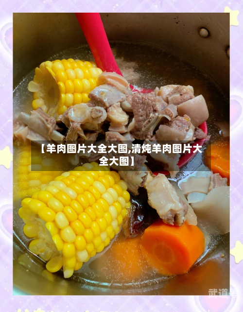 【羊肉图片大全大图,清炖羊肉图片大全大图】-第2张图片