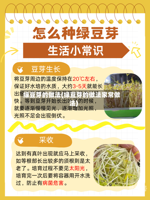 绿豆芽的做法(绿豆芽的做法家常做法)-第2张图片