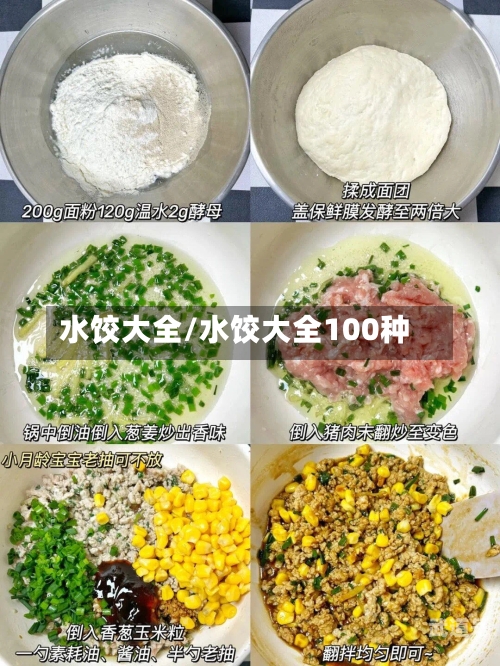 水饺大全/水饺大全100种-第2张图片