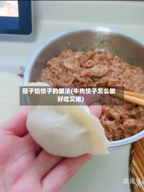 茄子馅饺子的做法(牛肉饺子怎么做好吃又嫩)-第2张图片