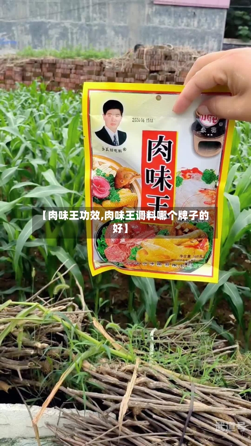 【肉味王功效,肉味王调料哪个牌子的好】-第3张图片