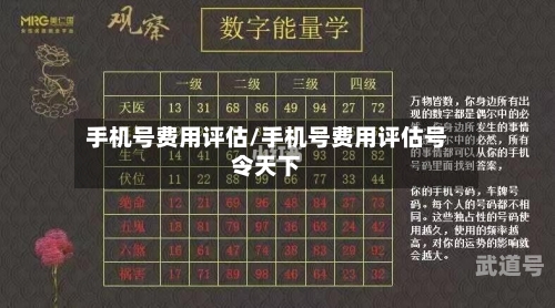 手机号费用评估/手机号费用评估号令天下-第2张图片