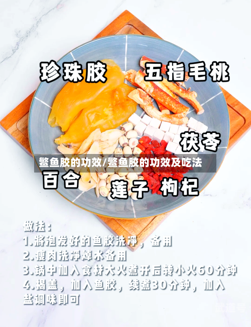 鳘鱼胶的功效/鳘鱼胶的功效及吃法-第3张图片