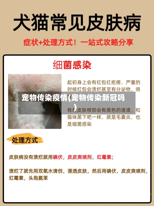 宠物传染疫情(宠物传染新冠吗)-第3张图片