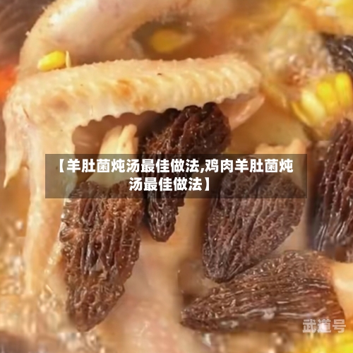 【羊肚菌炖汤最佳做法,鸡肉羊肚菌炖汤最佳做法】-第3张图片