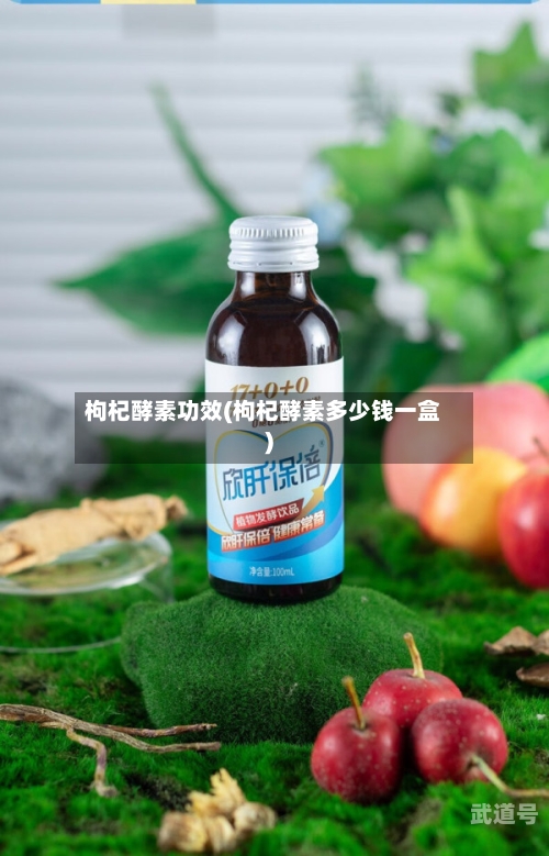 枸杞酵素功效(枸杞酵素多少钱一盒)-第2张图片