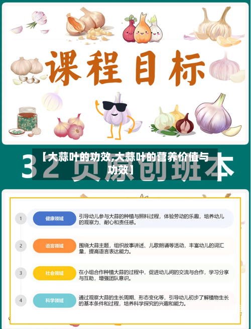 【大蒜叶的功效,大蒜叶的营养价值与功效】-第3张图片